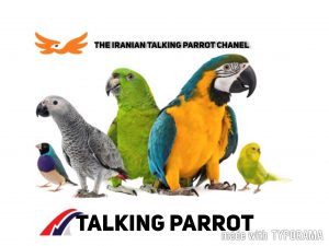 کانال The iranian talking parrot