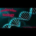 کانال Molecular biology