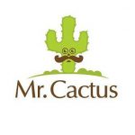 مستر کاکتوس، فروشگاه اینترنتی گل و گیاه
