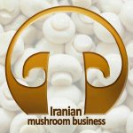 کانال تجارت قارچ ایرانیان