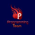 کانال Programming Team
