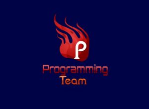 کانال Programming Team