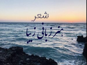 کانال تلگرام شعر، هنر زبانی زیبا