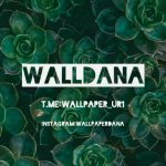 کانال تلگرام Walldana(والپیپر)